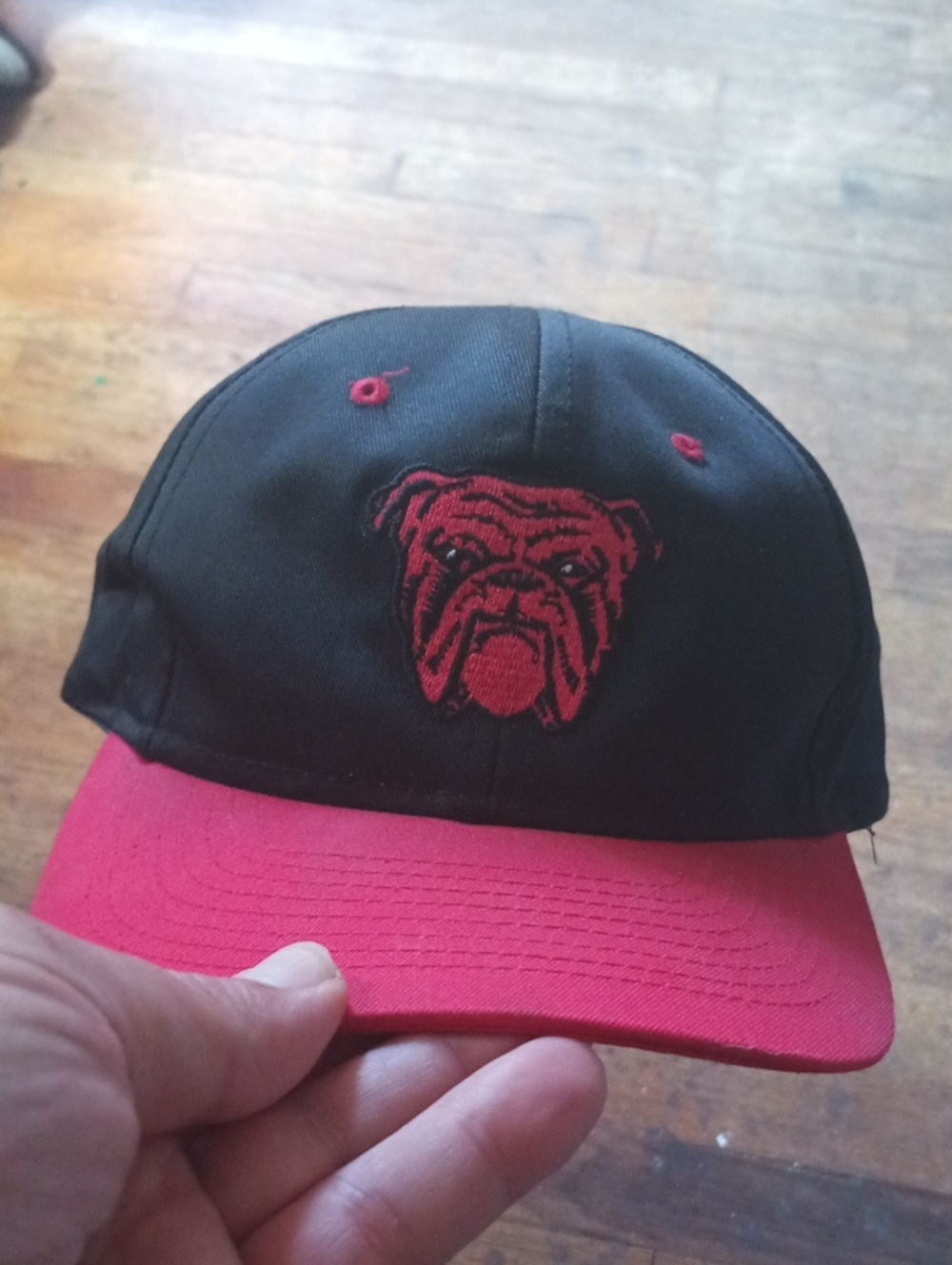Red Dog Beer Vintage Hat